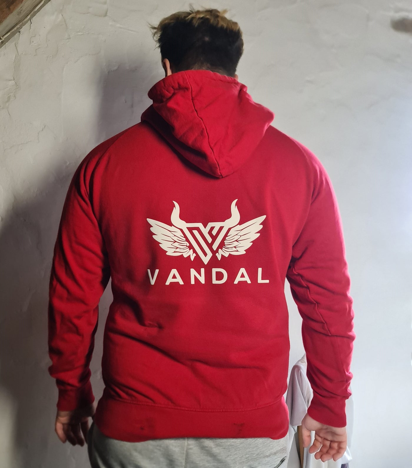 Unisex Vandal Kapuzenpullover